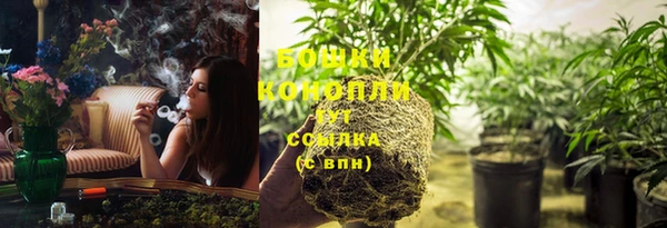 прущие крисы Заводоуковск