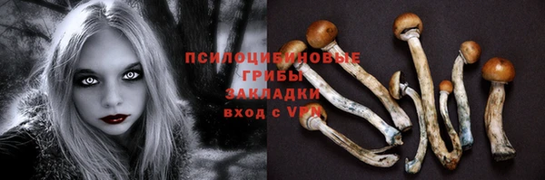 apvp Янаул