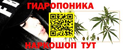 кокс Заволжье
