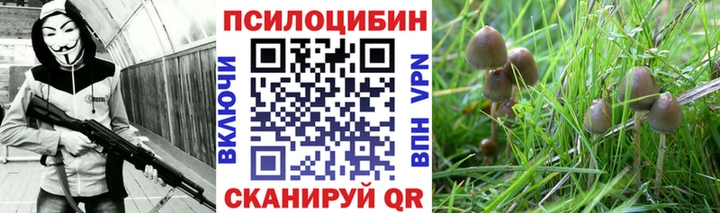 Галлюциногенные грибы Magic Shrooms  Кропоткин 