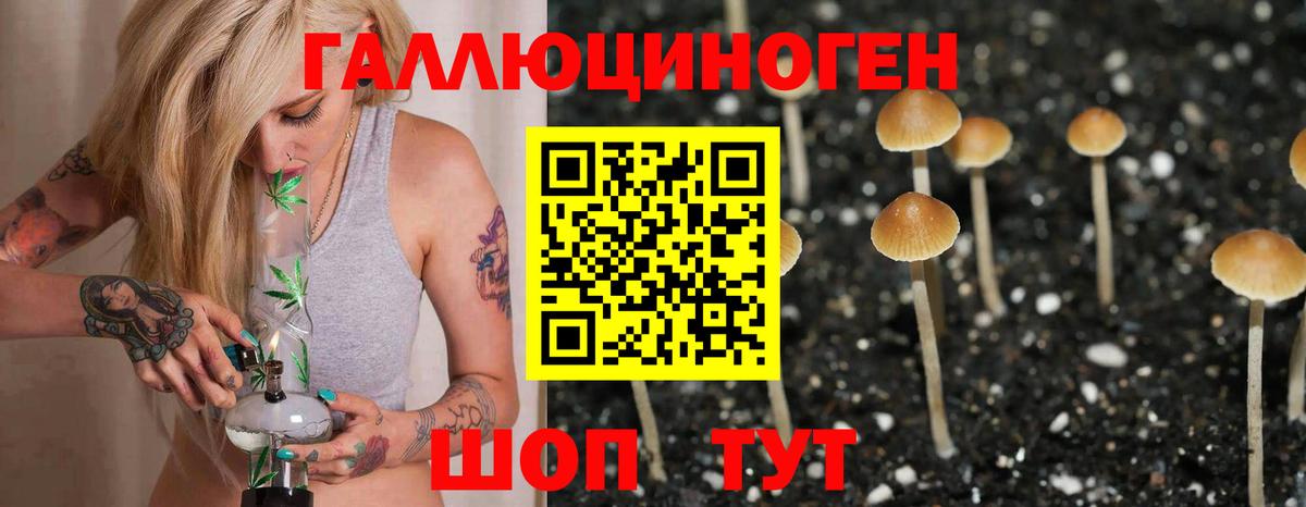 Псилоцибиновые грибы MAGIC MUSHROOMS  Вход с VPN  Кропоткин 